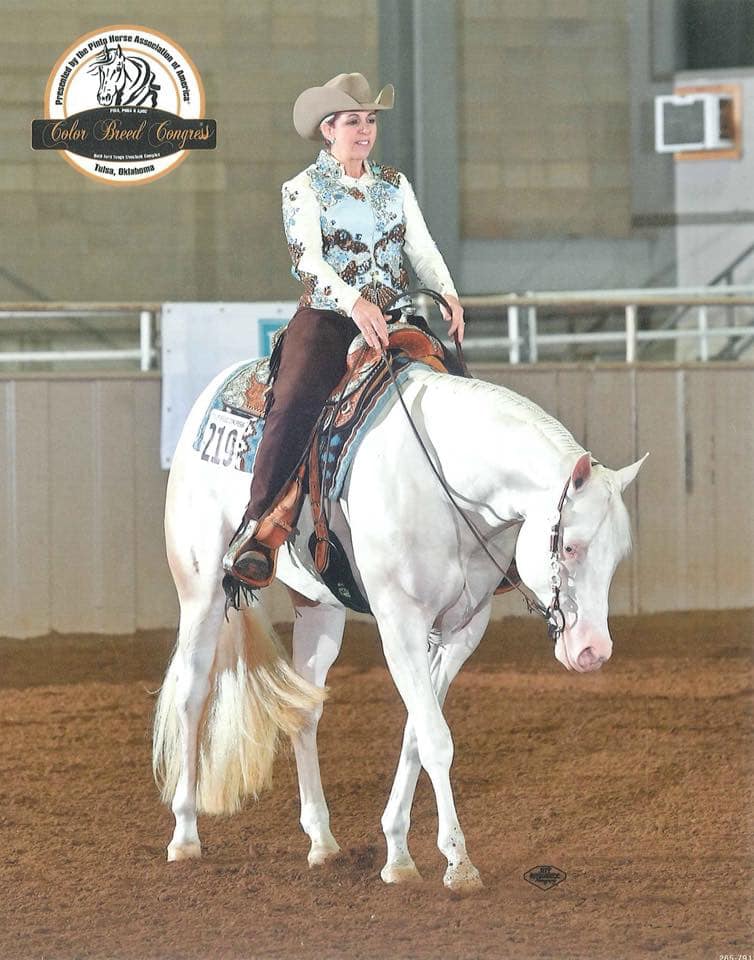 Dirty Callahan = AQHA Western Pleasure Stallions